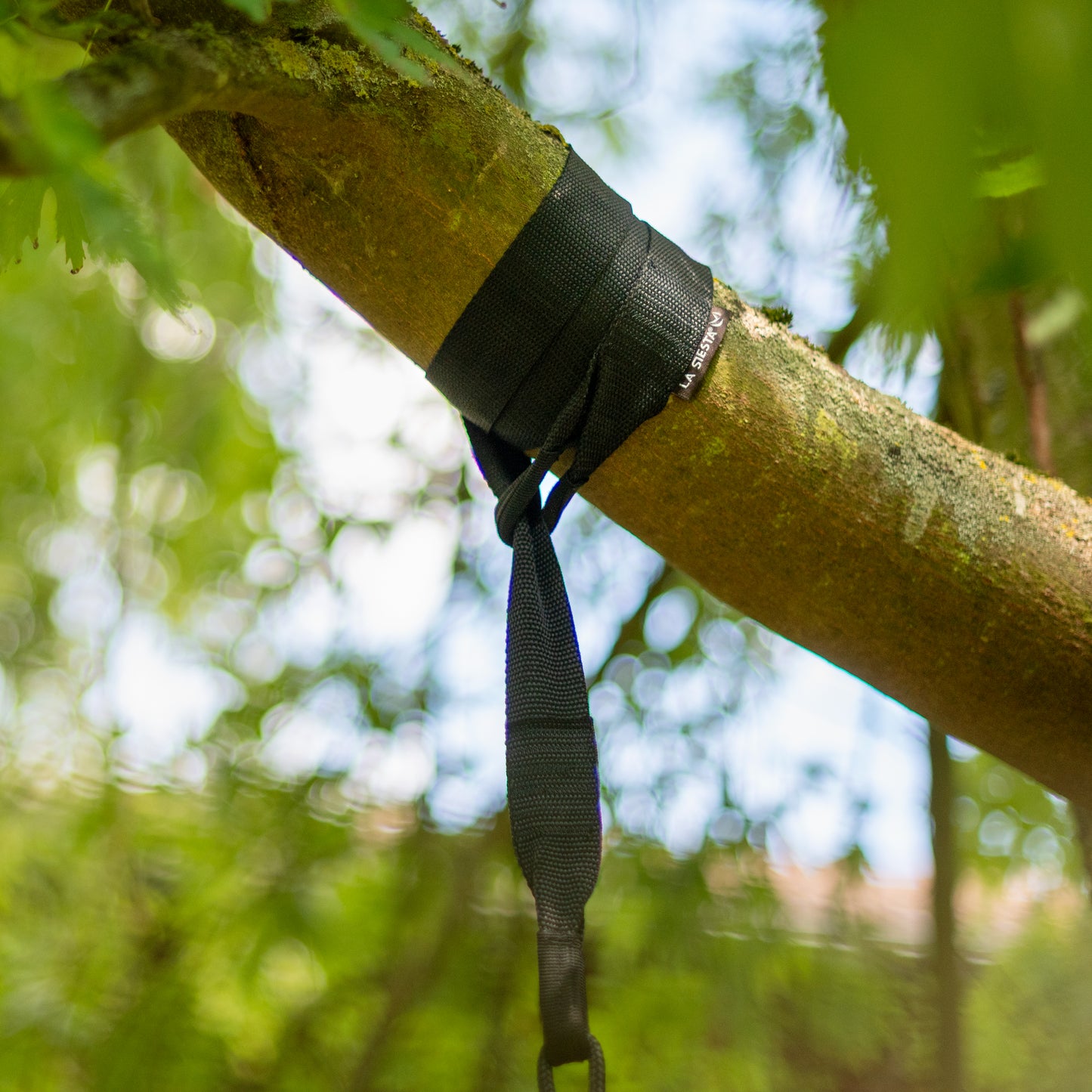 TreeMount Black - Sujeción para sillas colgantes en árboles y vigas