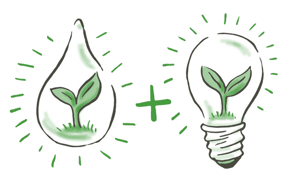 An illustration showing a water droplet and a light bulb. Inside both is a plant.